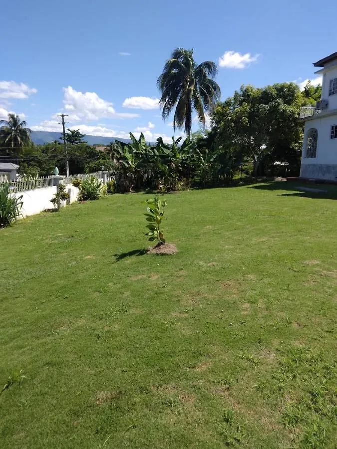 A Piece Of Paradise Santa Cruz Jamaica